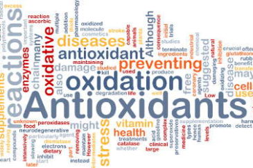 L’importanza del sistema antiossidante