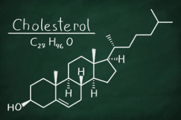 L’importanza del colesterolo