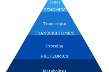 METABOLOMICS: a snapshot of the cell