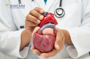 Alimenti ultraprocessati e salute cardiovascolare: le indicazioni proposte della Società Europea di Cardiologia